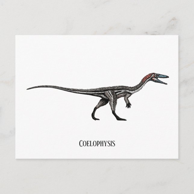 Carte Postale dinosaure de coélophyse (Devant)