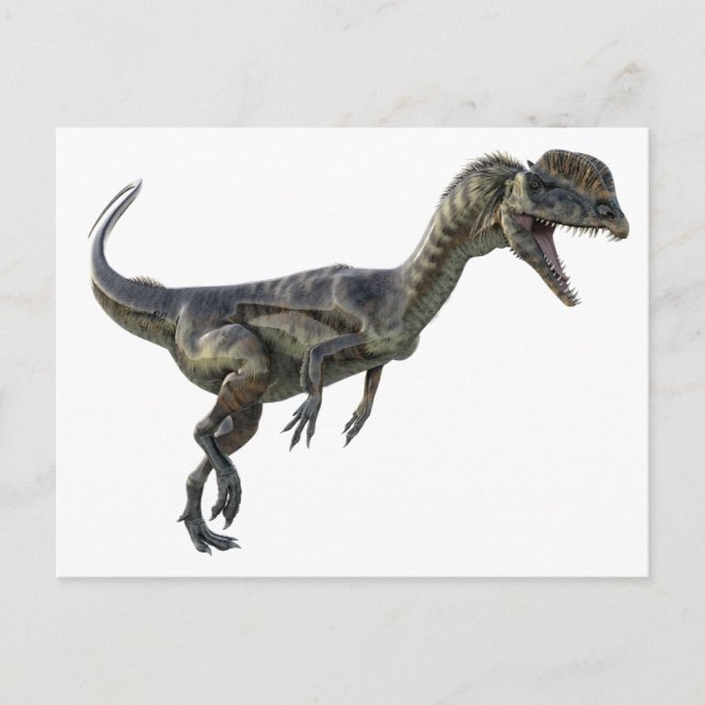Carte Postale Dinosaure de Dilophosaurus (Devant)