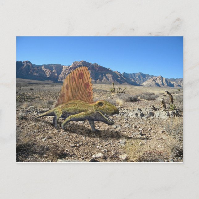 Carte Postale Dinosaure de Dimetrodon (Devant)