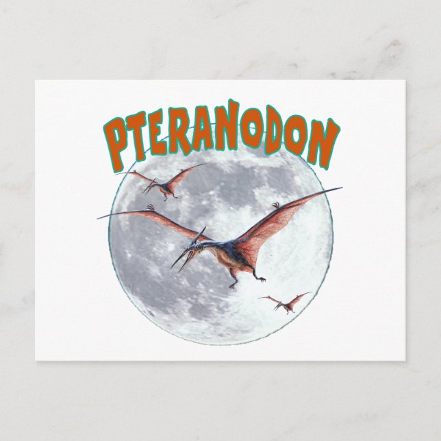 Carte Postale Dinosaure de Pteranodon (Devant)