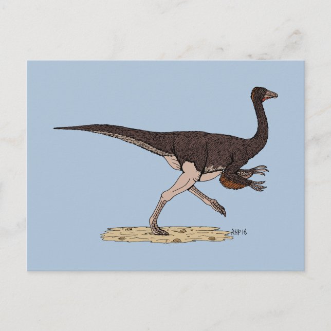Carte Postale Dinosaure ornithomimus crétacé (Devant)