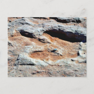 Carte Postale Dinosaure Traces Au Nord De Flagstaff