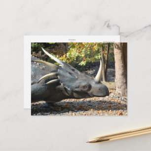 carte postale _ dinosaure _ triceratops