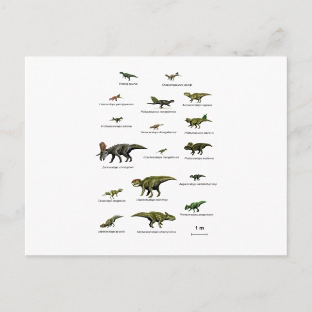 Carte Postale Dinosaures (Devant)