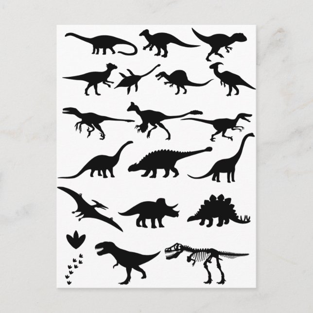 Carte Postale Dinosaures (Devant)
