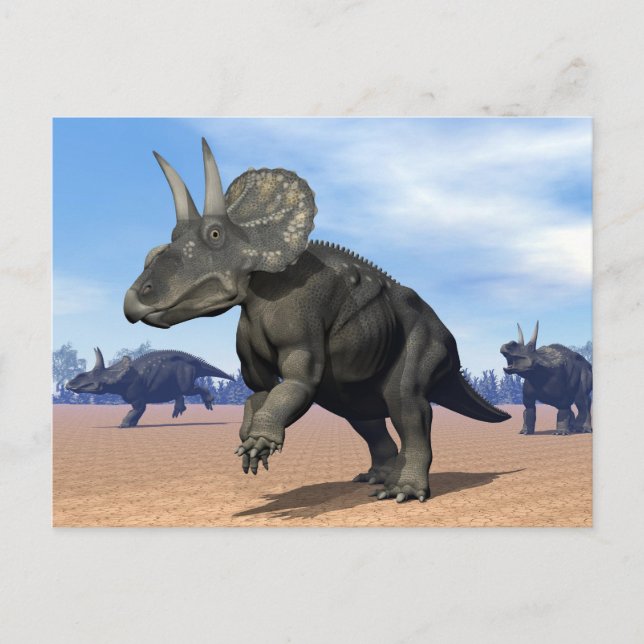 Carte Postale Dinosaures de dicératops/nédoceratops dans le dése (Devant)