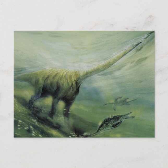 Carte Postale Dinosaures vintages, Brachiosaurus Nager dans l'oc (Devant)