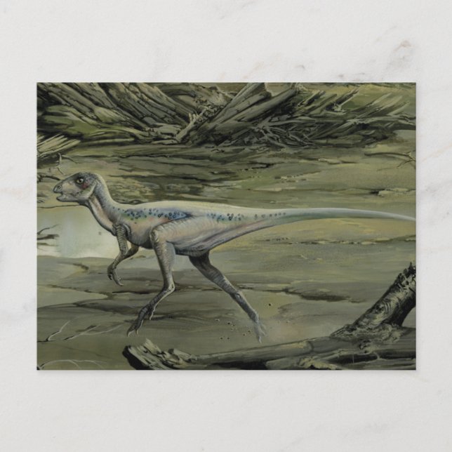 Carte Postale Dinosaures vintages, Hypsilophodon crétacé (Devant)