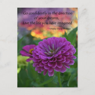 Carte postale d'inspiration remise en vrac Zinnia