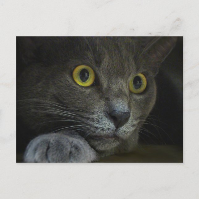 Carte postale d'intensité (Devant)