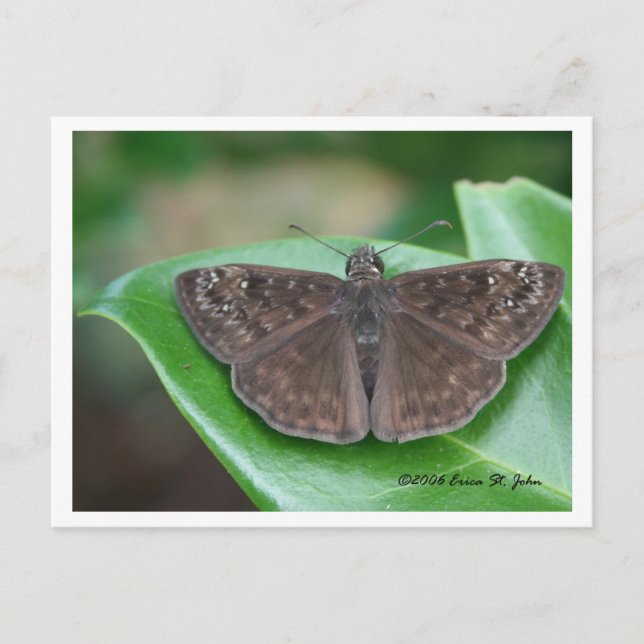 Carte postale d'intentions mensuelles (Devant)