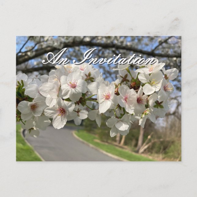 Carte postale d'invitation aux fleurs de mai (Devant)
