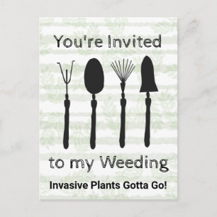 Carte postale d'invitation pour la Semaine des Fle