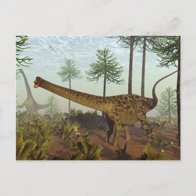 Carte Postale Diplodocus dinosaures parmi les araucaires - 3D re (Devant)