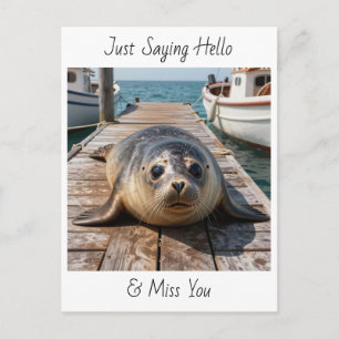Carte Postale Dire bonjour Garder le contact Mignon phoque