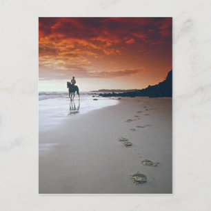 Carte Postale Direction Accueil