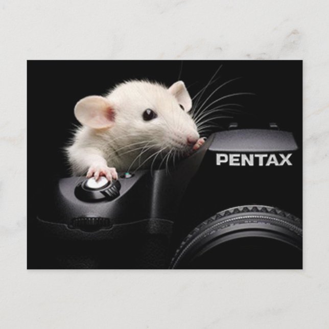 Carte Postale Dis Fromage ! (Devant)