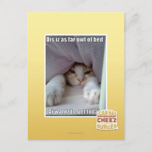 Carte Postale Dis iz aussi loin que le coude du lit..