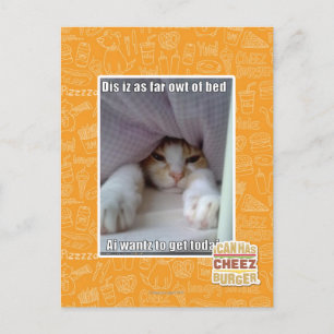 Carte Postale Dis iz aussi loin que le coude du lit..