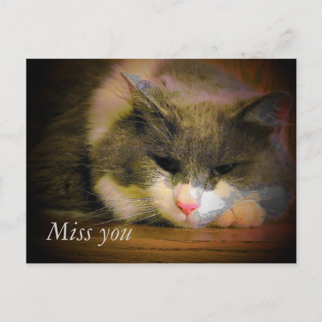 Carte Postale Dis Que Je Te Manque Avec Ce Chat Triste (Devant)