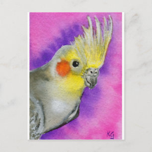 Carte Postale Disco Cockatiel