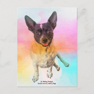 Carte postale disco de Gemma