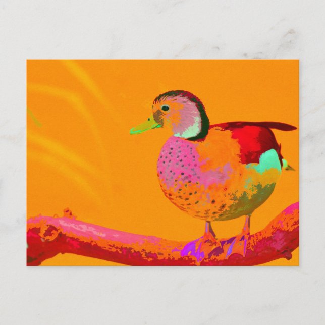Carte Postale Disco Duck (Devant)