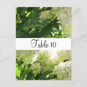 Carte Postale Disposition de table aux hortensias blancs