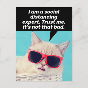 Carte Postale Distances sociales Chat - Encouragement et adaptat