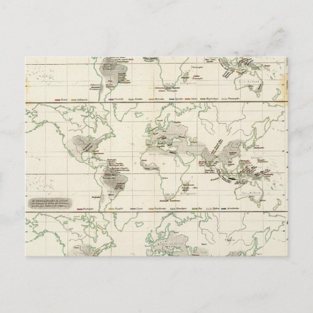 Carte Postale Distributions de serpents (Devant)