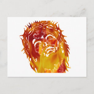 Carte Postale Dites non à la stupidité et à l'ignorance.