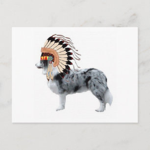 Carte Postale Ditzy Dogs~Carte Postale Originale~Bordure Collie