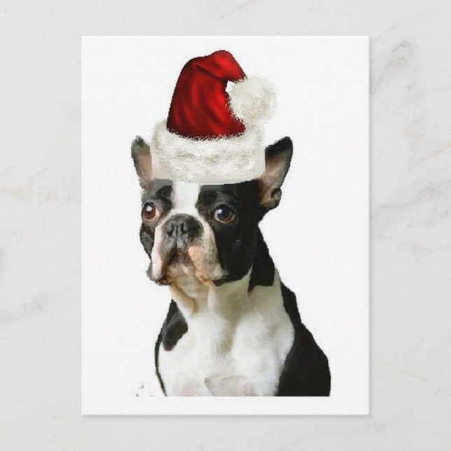 Carte Postale Ditzy Dogs~Carte Postale Originale~Boston Terrier (Devant)