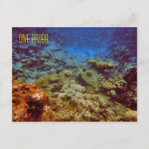 Carte postale Dive Aruba