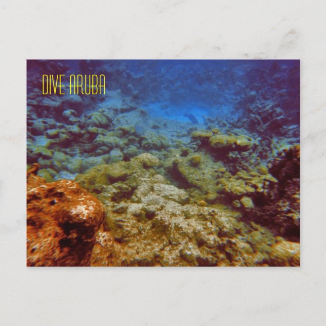 Carte postale Dive Aruba (Devant)