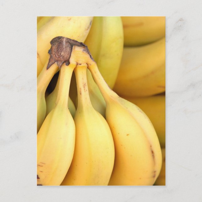 Carte Postale Divers - Motif bananier (Devant)