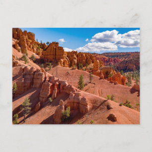 Carte postale Dixie National Forest Landcape Photo