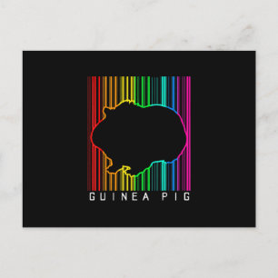 Carte Postale DJ Guinea Pig Techno Edm Animal Rave Star Rainbow