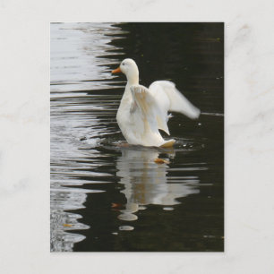 Carte postale do-it-yourself Cute Rising Duck