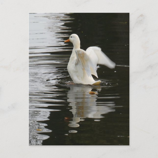 Carte postale do-it-yourself Cute Rising Duck (Devant)