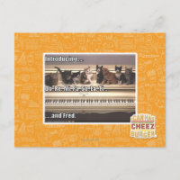 Do, Re, Mi, Fa, Alors, La, Ti, Fred