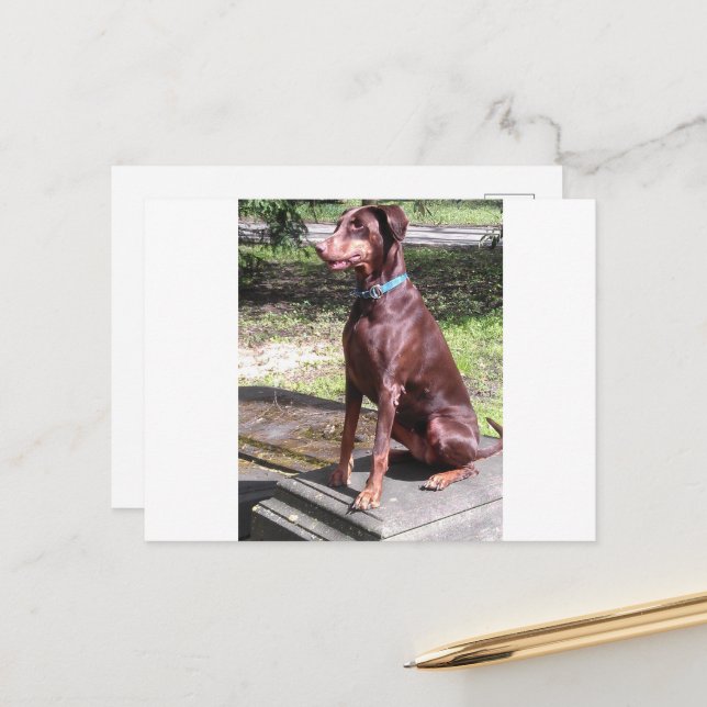 Carte Postale dobère rouge (Devant/Arrière en situation)