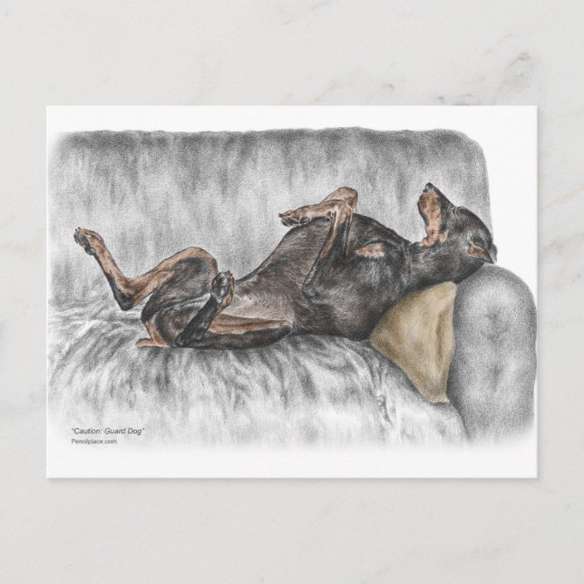 Carte Postale Doberman drôle sur Sofa (Devant)