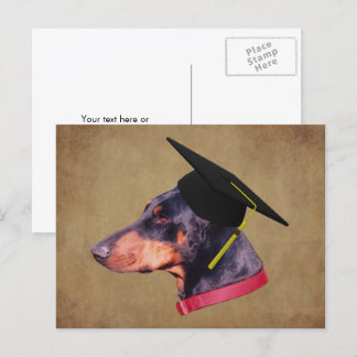 Carte Postale Doberman en casquette de remise de diplômes Chien