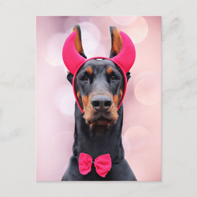Carte Postale Doberman en costume diabolique (Devant)