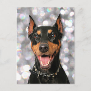 Carte Postale Doberman - Megyan