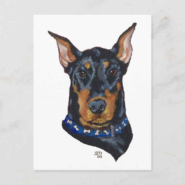 Carte Postale Doberman noir Pinscher (Devant)