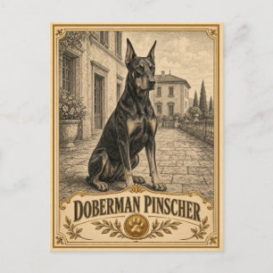Carte Postale Doberman Pinscher, Chien de Patrimoine Vintage