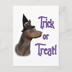 Carte Postale Doberman Pinscher (rouge) Trick