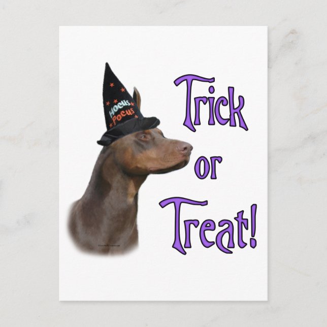 Carte Postale Doberman Pinscher (rouge) Trick (Devant)